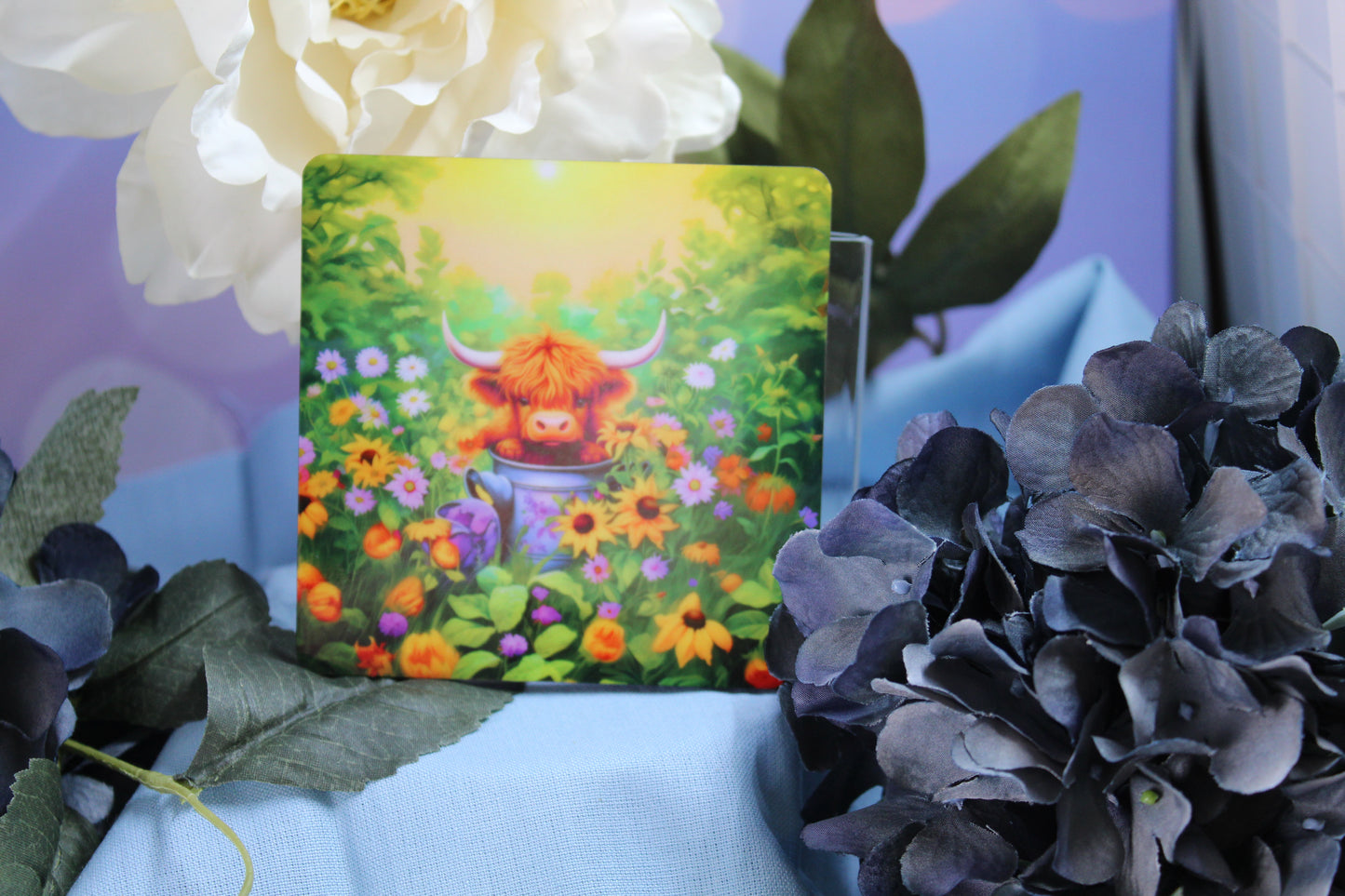 Coasters